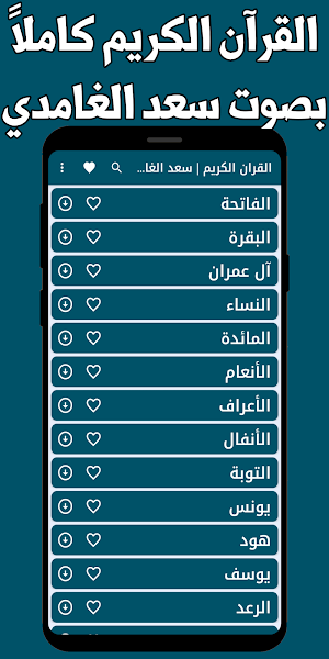 قران كامل سعد الغامدي بدون نت Screenshot 0