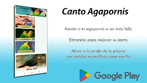 Canto Agapornis Screenshot 2