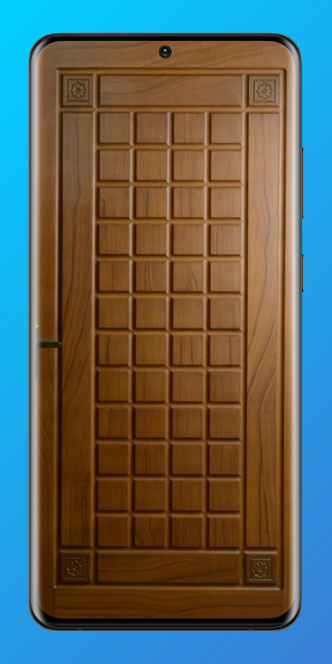 Aesthetic Door Ideas Screenshot 2