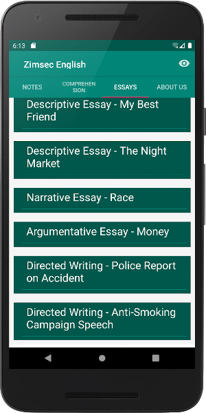 Zimsec English Revision Screenshot 1
