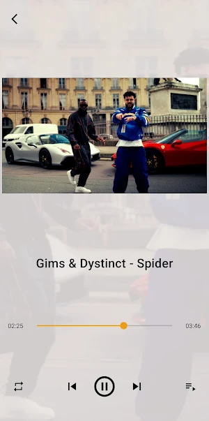 Maitre Gims 2026 Songs Offline Screenshot 3
