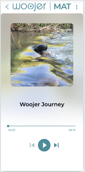 Woojer MAT Screenshot 2
