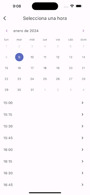 Hidalgo Estilistes Screenshot 2