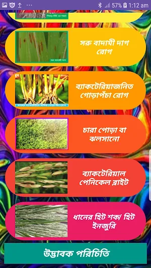 ধানের রোগ ~ Paddy Diseases Screenshot 2