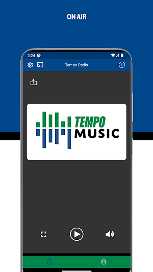Tempo Music Screenshot 1