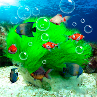 Aquarium Live Wallpaper