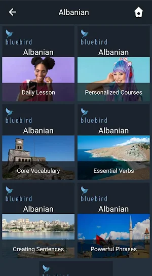 Learn Albanian. Speak Albanian. Study Albanian. Screenshot 0