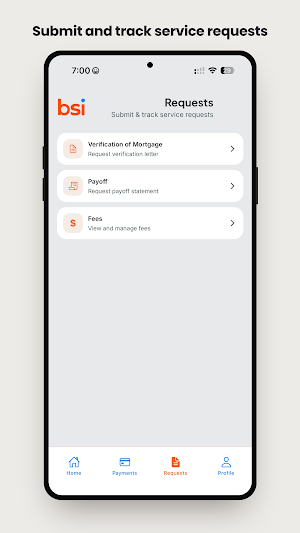 BSI Financial Screenshot 3