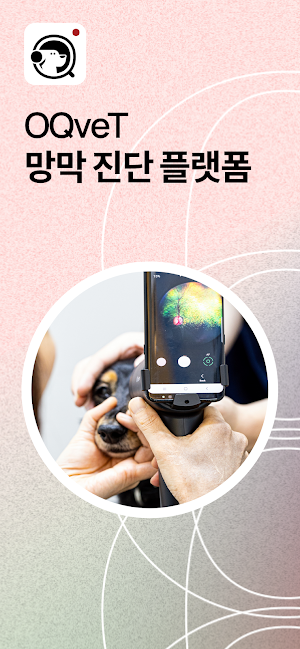 오큐벳 - OQveT Screenshot 0