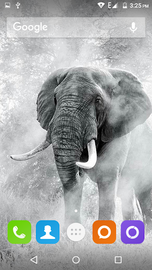 Elephant Wallpaper Hd Screenshot 3