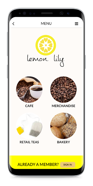 Lemon Lily screenshot 2