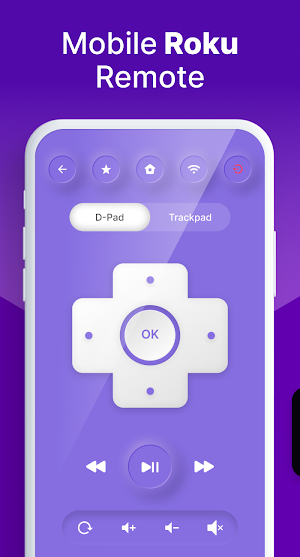 Remote Control for Roku TV! Screenshot 0