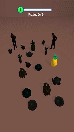 Hidden Pairs 3D Screenshot 1