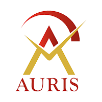 My Auris
