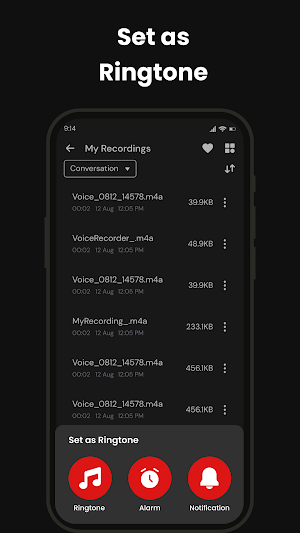 Voice Recorder Screenshot 3