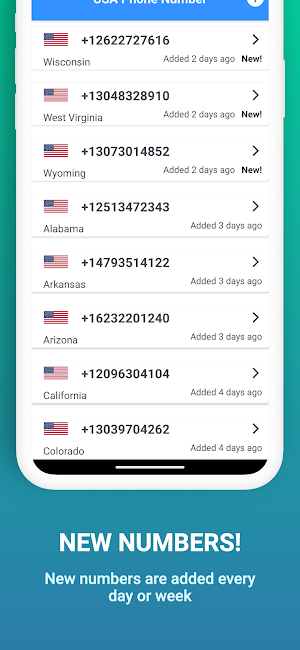 USA Phone Number Screenshot 3