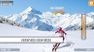 Slalom Ski Simulator Screenshot 3