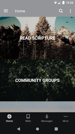 Bayou City Spring Branch Screenshot 0