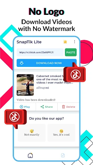 SnapTik Lite - Download TikTok Screenshot 0