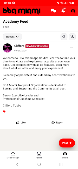 BBA Miami Studio Nonprofit Org Screenshot 0