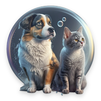 Pet Care