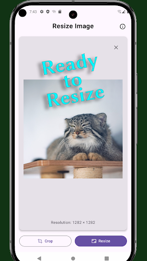 Resize Image Screenshot 3