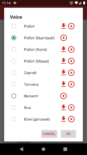 Italian voice for DVBeep Screenshot 3