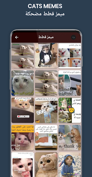 funny memes images Screenshot 3