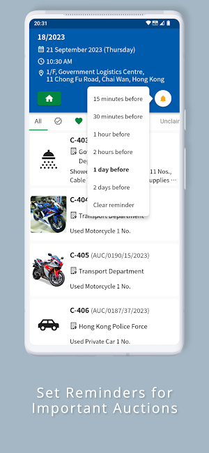 Government Auction Database Screenshot 3
