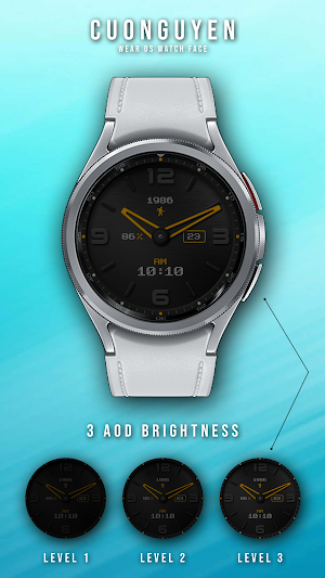 Watch face CNW0022 Screenshot 1