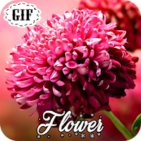 Flower GIF