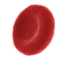 Hematology Masterclass 2022