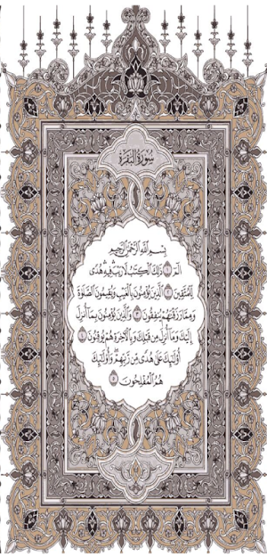Mushaf Warsh- مصحف ورش المغربي Screenshot 1