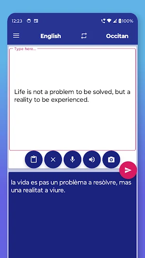 Occitan English Translator Screenshot 2