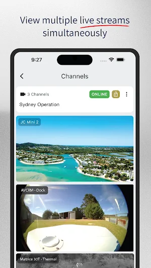 AVCRM - Live Screenshot 3