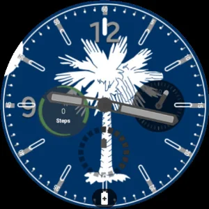South Carolina Flag Watchface Screenshot 1