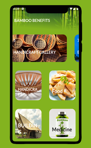 Bamboo Craft Ideas Screenshot 3