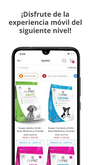 mypets: Cuidado Mascotas Screenshot 1