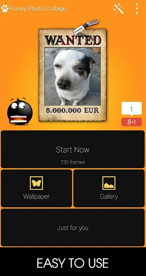 Funny Photo Collage Screenshot 0