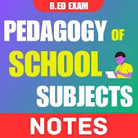 Pedagogy of School Subject