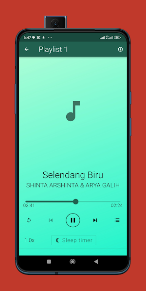 Selendang Biru Shinta Dan Arya Screenshot 2