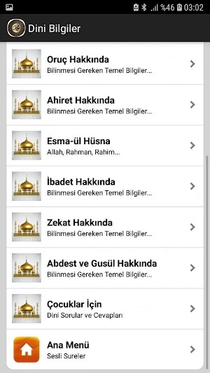 Sesli Görüntülü Sureler Screenshot 2