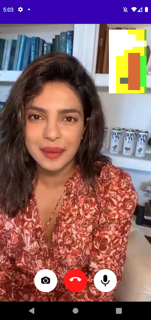 Priyanka Chopra Video Call Screenshot 1