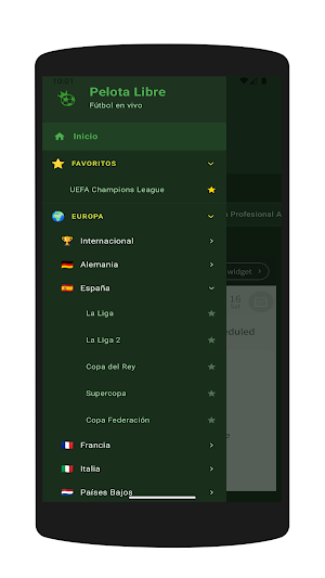 Pelota Libre Screenshot 2