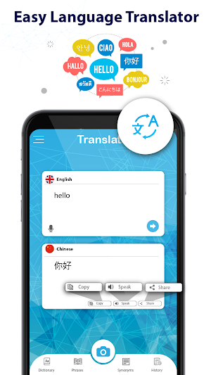 Language Translator - Idioms & Phrases Dictionary Screenshot 0