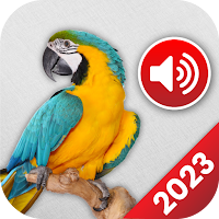Animal Sounds Birds Ringtones