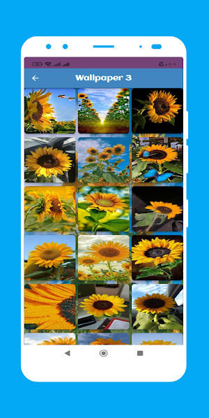 Flowers Wallpaper Screenshot 3
