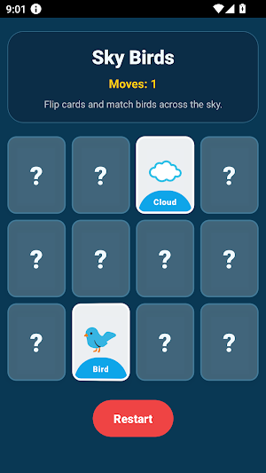 99XOSky Birds Screenshot 1