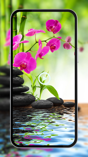 Flower Wallpaper Live Screenshot 2