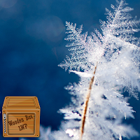 snow nature wallpaper